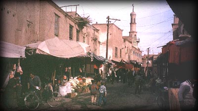 �J�V���K��