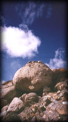 �R�����Q