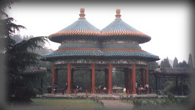 �V�d�����Q